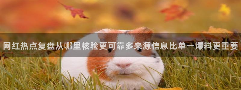 91吃瓜在线观看