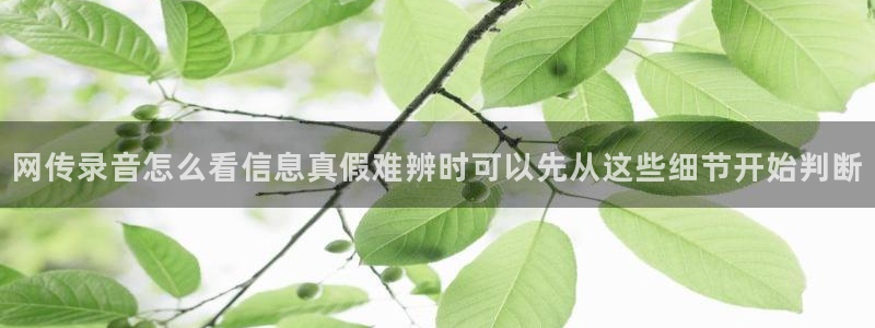 91吃瓜热点网站